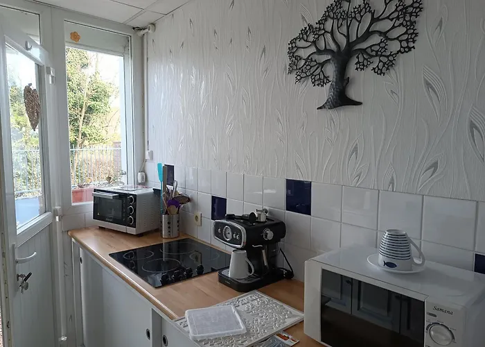 Apartment De L Amboise *